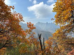 -秦岭终南山世界地质公园翠华山景区