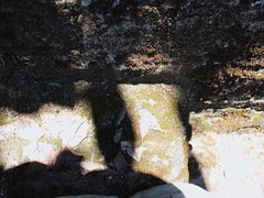 -求水山公园