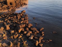-东疆建设开发纪念公园