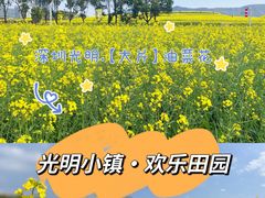 -光明小镇欢乐田园