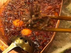 -老码头火锅(玉林店)