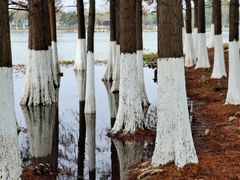 -艾溪湖湿地公园