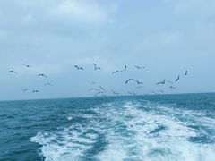 -海驴岛(荣成市)