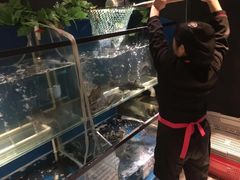 -老板恋上鱼(环山路店)