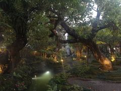 -Chom Cafe and Restaurant