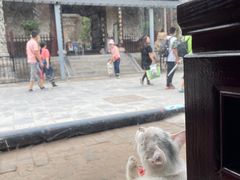 -老平遥饭馆