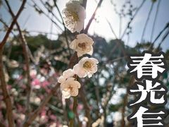 -无锡梅园公园
