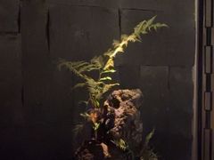 -泰之源足浴会所(玉环店)