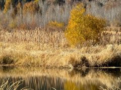 -泸沽湖国家级风景名胜区走婚桥