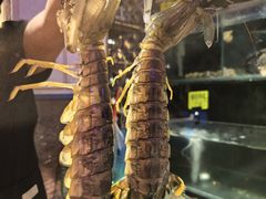 -辉记炭烧海鲜大排档·老字号(福田店)