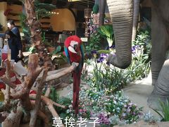 -灵玲国际马戏城
