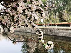 -元大都城垣遗址公园