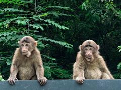 -西岭雪山大飞水景区
