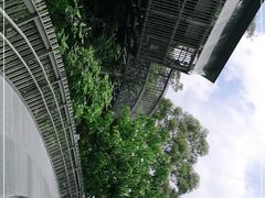 -福道