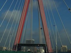 -胖子锅贴(双阳路111弄店)