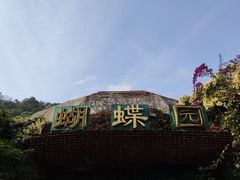 -野象谷景区