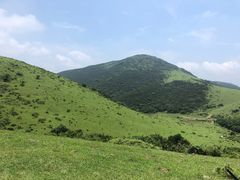 -大姆山草场