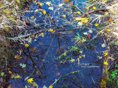 -招虎山国家森林公园-售票处