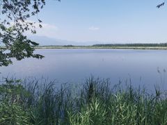 -野鸭湖国家湿地公园