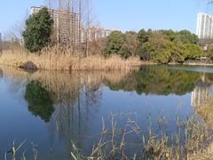 -洋湖国家湿地公园