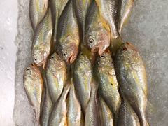 -沙田台山海鲜·酣客酒窖