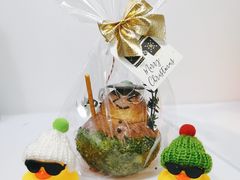 -PAPER STONE BAKERY(天环店)