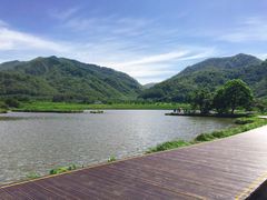 -大九湖