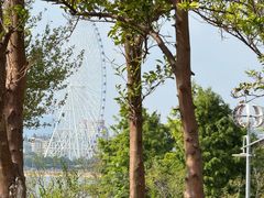 -南昌之星摩天轮