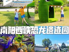 -中国西峡恐龙遗迹园