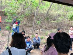 门面-易水湖景区