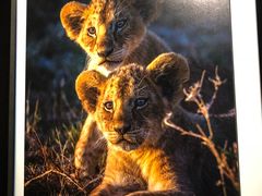 -罗红摄影艺术馆