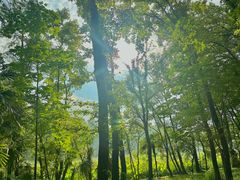 -东湖听涛景区