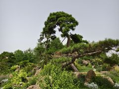 -罗红摄影艺术馆