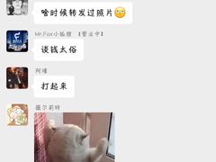 -Mr.Fox狐狸先生超级密室(南山店)