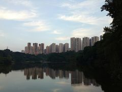 -重庆彩云湖湿地公园