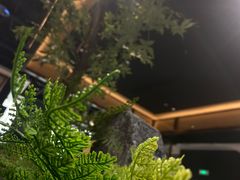 -滇铺子·云南特色菜·鲜花野菜季(曲靖万达店)