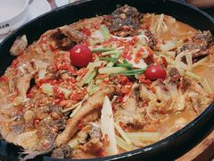 -老板恋上鱼(恒隆广场店)