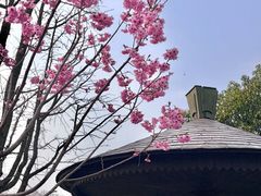 -梁鸿国家湿地公园