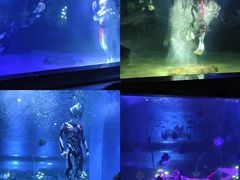 -顺德南宏海立方海洋公园