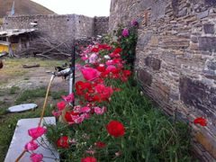 -稻城亚丁风景区-电瓶观光车售票处