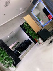-崇尚GAVIN STYLE