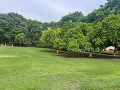 -塔子山公园