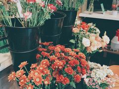 -之悦咖啡馆(新星宇·之洲店)