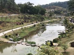 -东莞植物园