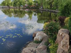 -长春市南湖公园