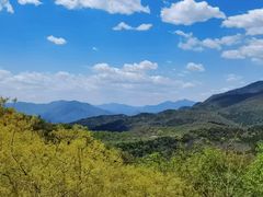 -北京西山国家森林公园