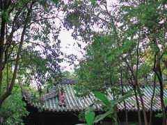 -棠湖公园