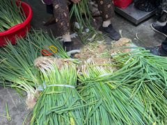 -杨家牛肉汤(淮建路店)