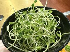鲜葵花籽苗-牛街清真满恒記(平安里西大街店)