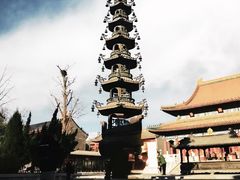 -天津大悲禅院
